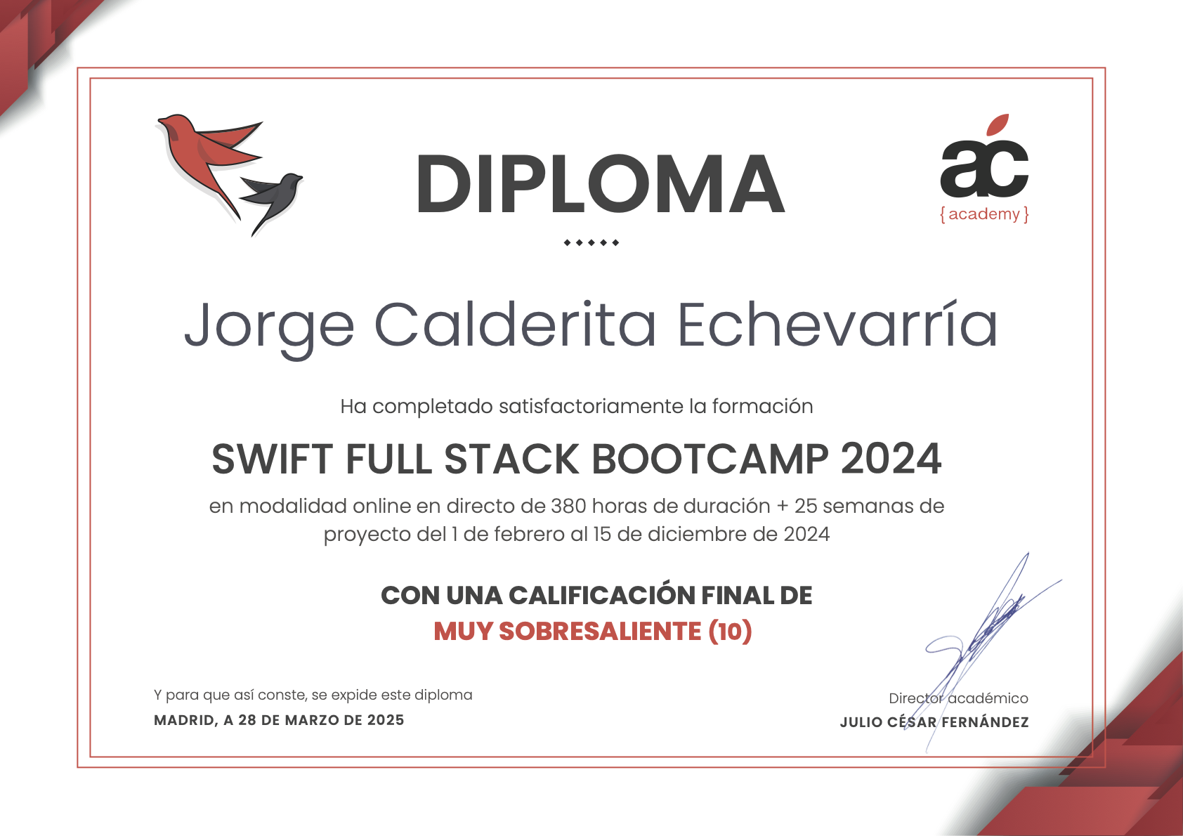 Diploma, 380 horas, nota proyecto 10.